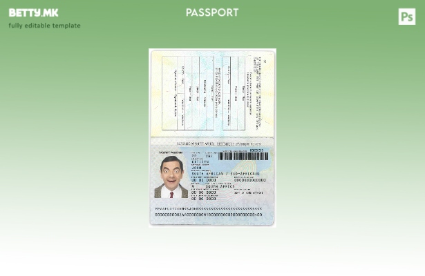 Шаблон за пасош на Јужна Африка ( ) во модерен стил